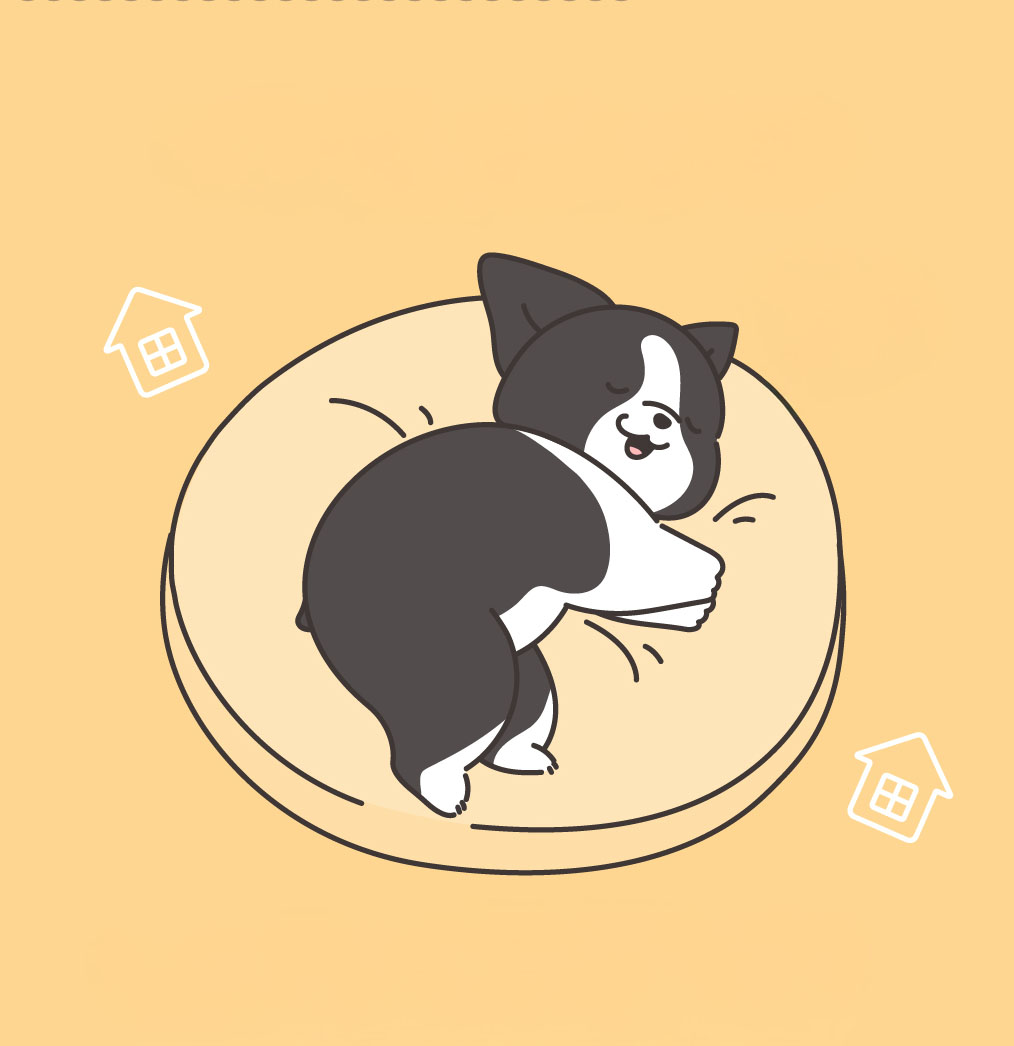 Pet Story